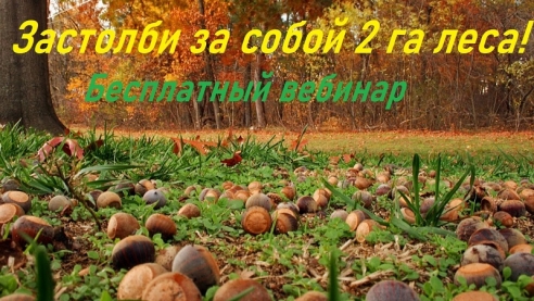 Бесплатный вебинар "Застолби за собой 2 га леса" 
