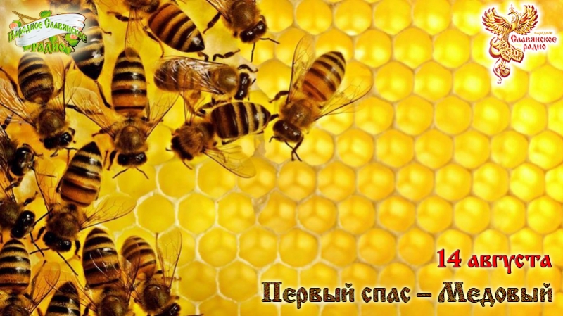 14-е августа - Первый спас – Медовый
