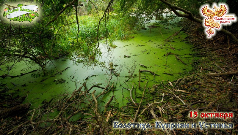 15-е октября - Болотиха. Куприян и Устинья