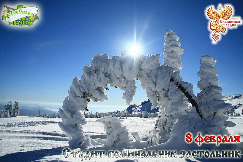8-е февраля