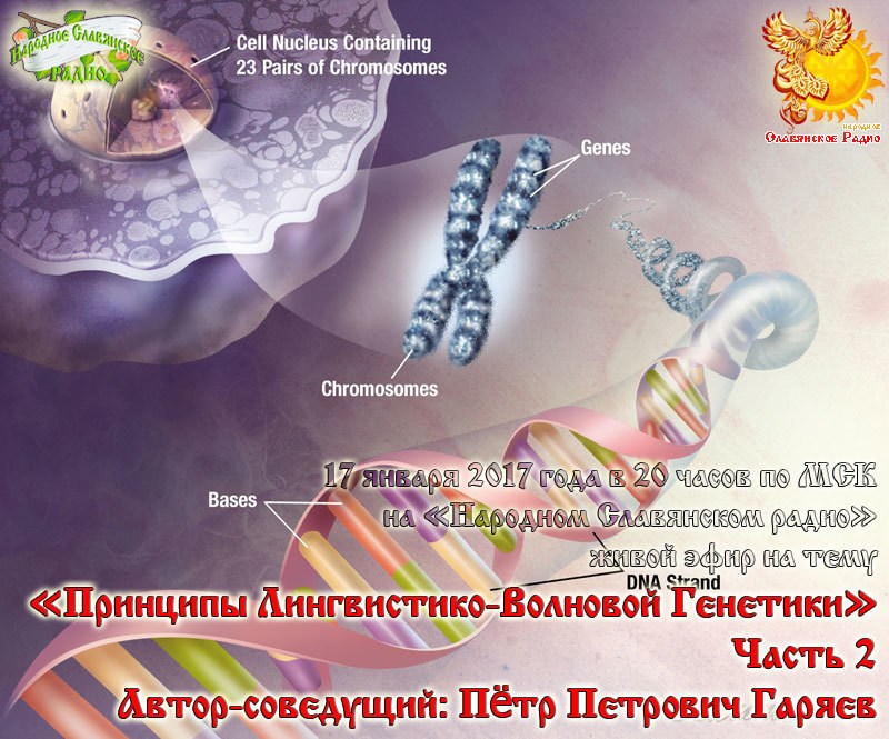 Принципы Лингвистико-Волновой Генетики. Часть 2
