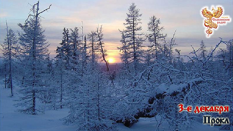 3-е декабря