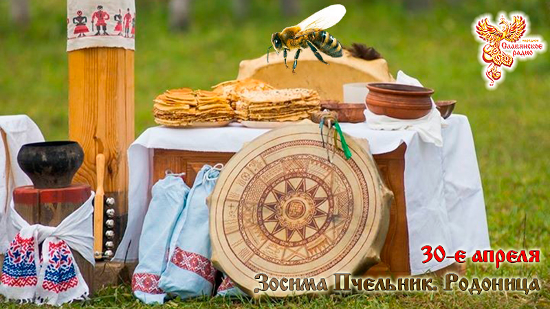 30 апреля - Зосима Пчельник. Родоница