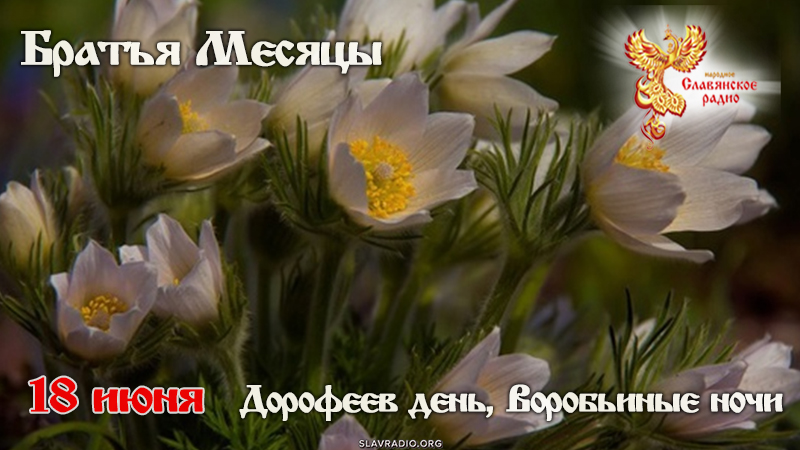 18 июня 
