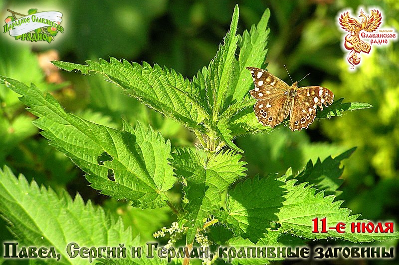 11-е июля