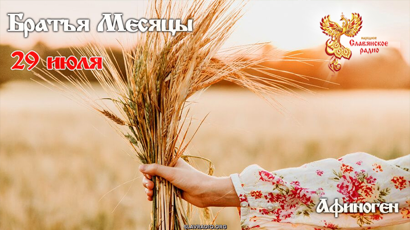 29 июля 