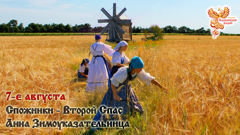7-е августа
