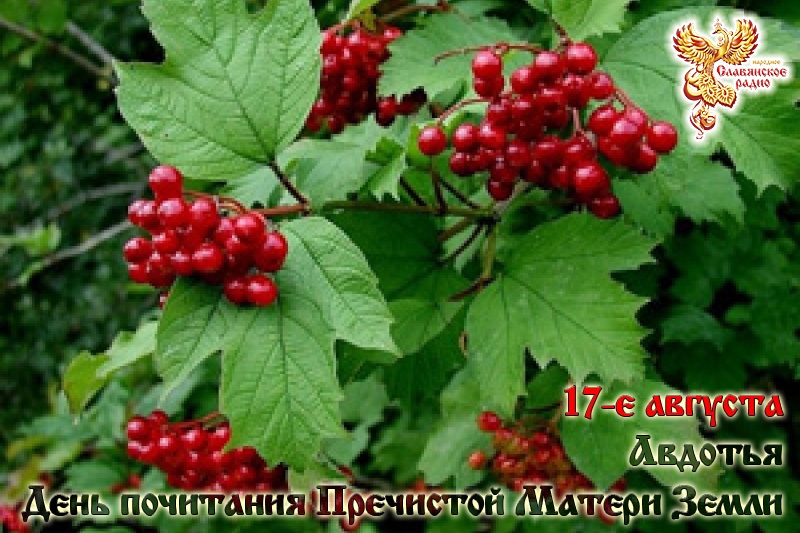17-е августа
