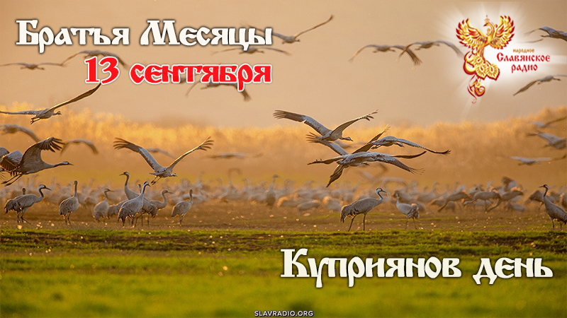 13 сентября 