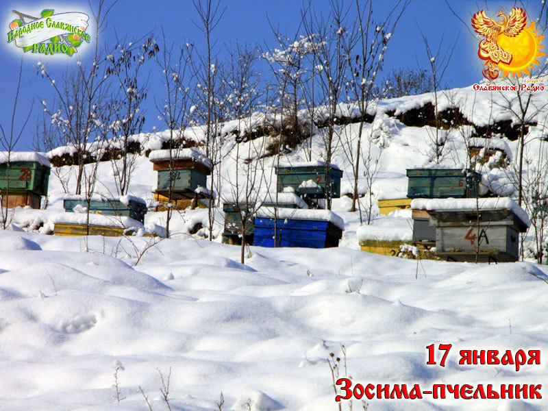 17-е января