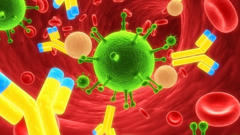 Об иммунной системе