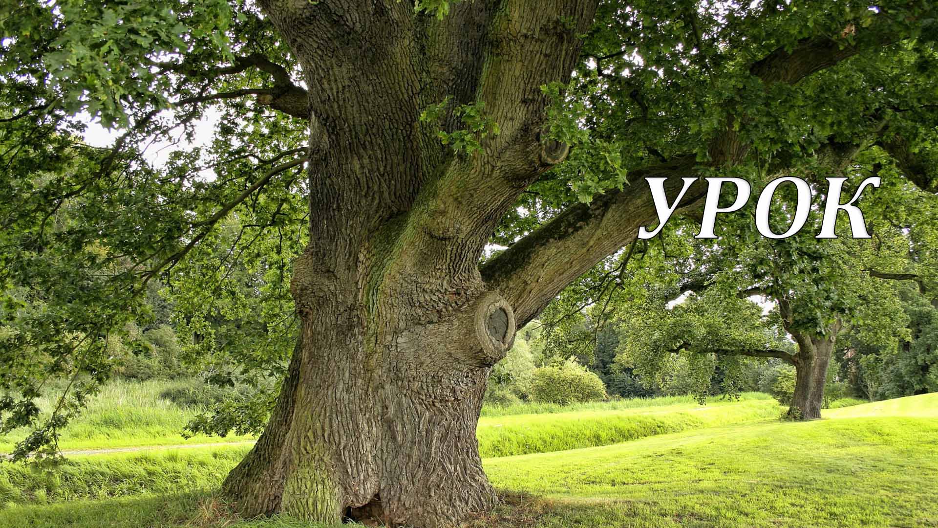 Урок