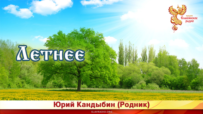 Летнее 
