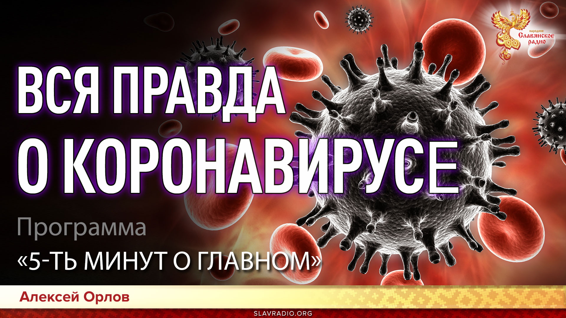 Вся правда о коронавирусе. Программа "5 минут о главном". Выпуск 1 