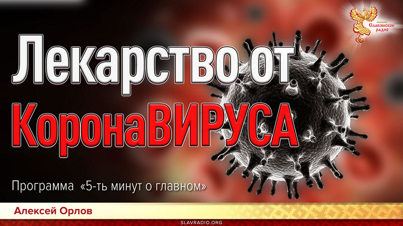 Лекарство от коронавируса. Программа "5 минут о главном". Выпуск 2