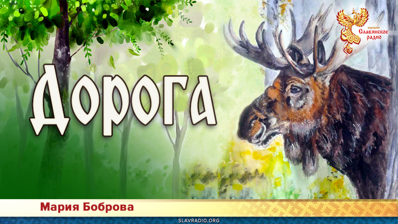 Дорога