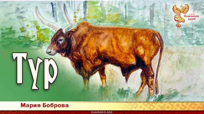 Тур
