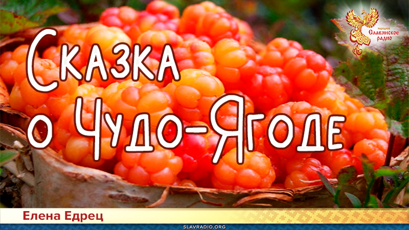 Сказка о Чудо-Ягоде