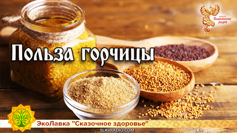 Польза горчицы 