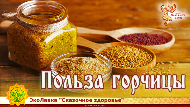 Польза горчицы | Народное славянское радио