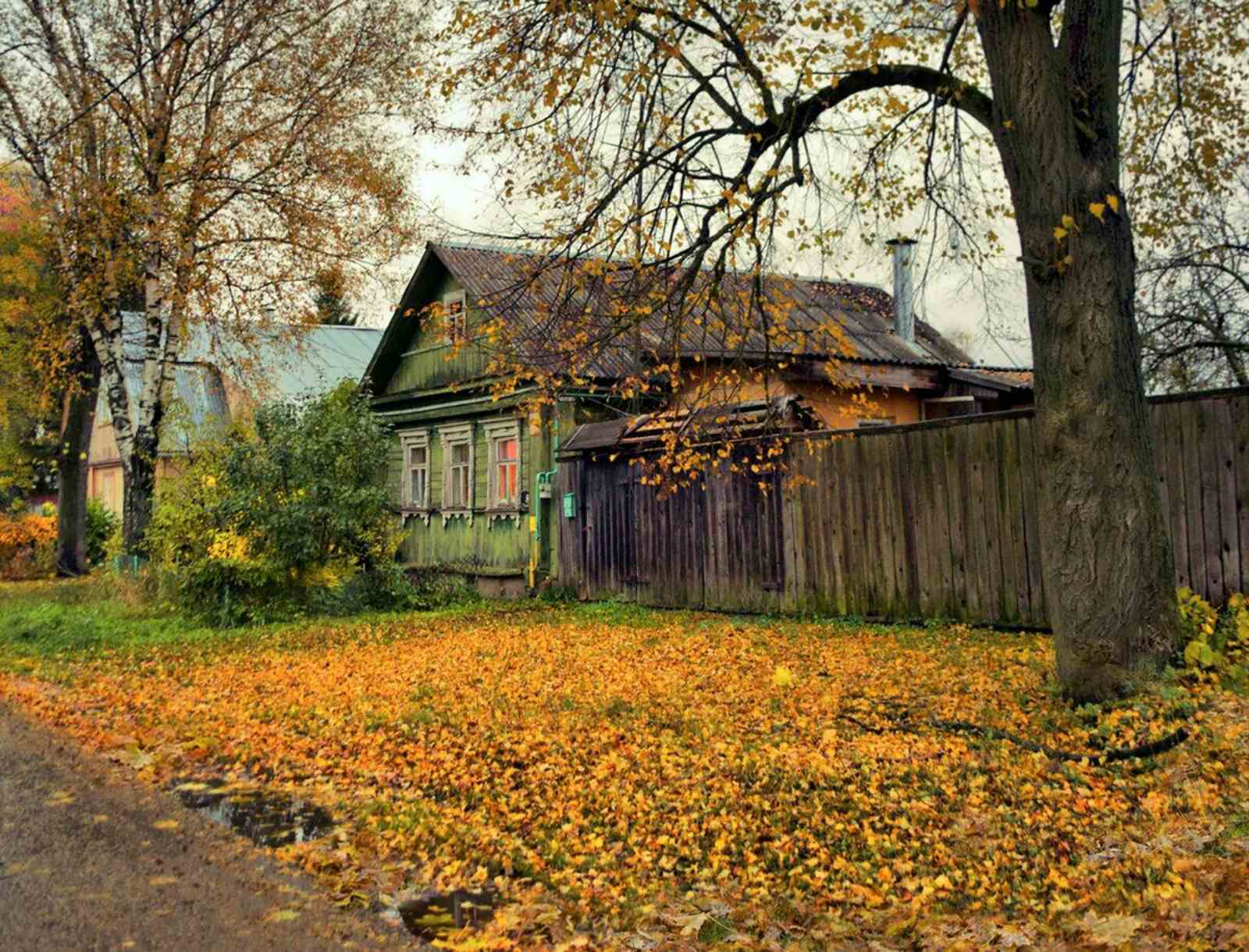 Дом на осенней улице. Осенний пейзаж Тульская деревня. Вятское деревня осенью. Тверская деревня осень. Осень деревня Зенькино.