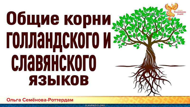 Общие корни  голландского и славянского языков