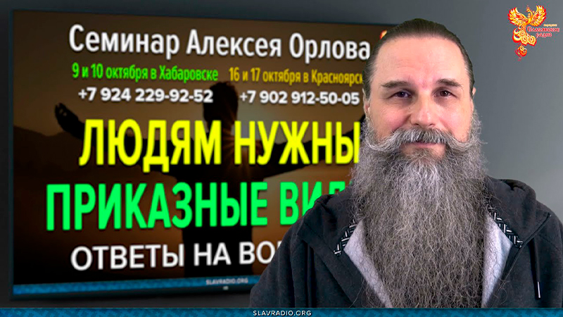 Людям нужны приказные видео! Алексей Орлов