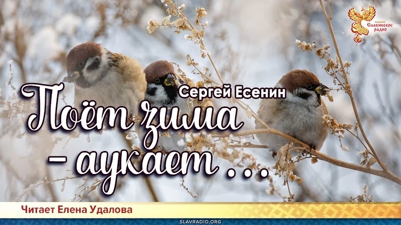 Поёт зима — аукает…