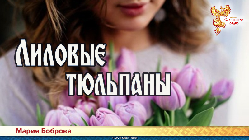 Лиловые тюльпаны 