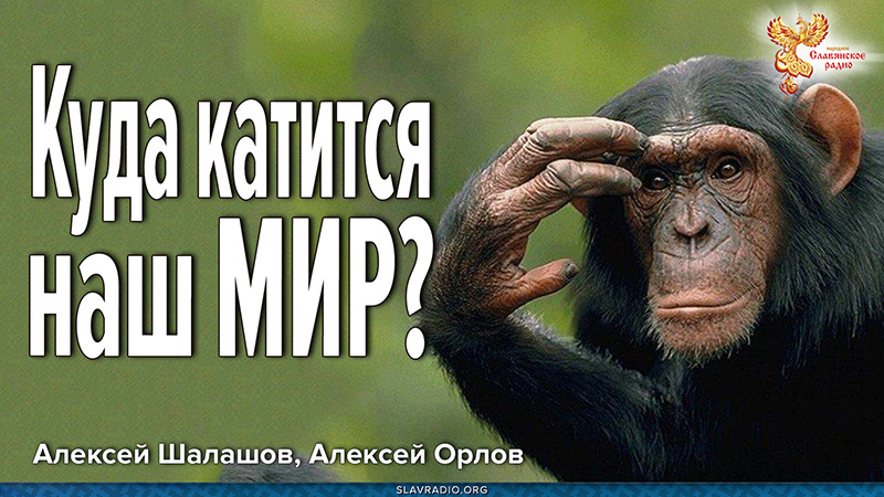 Куда катится наш МИР?