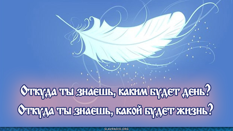 Откуда ты знаешь, каким будет день? Откуда ты знаешь, какой будет жизнь?