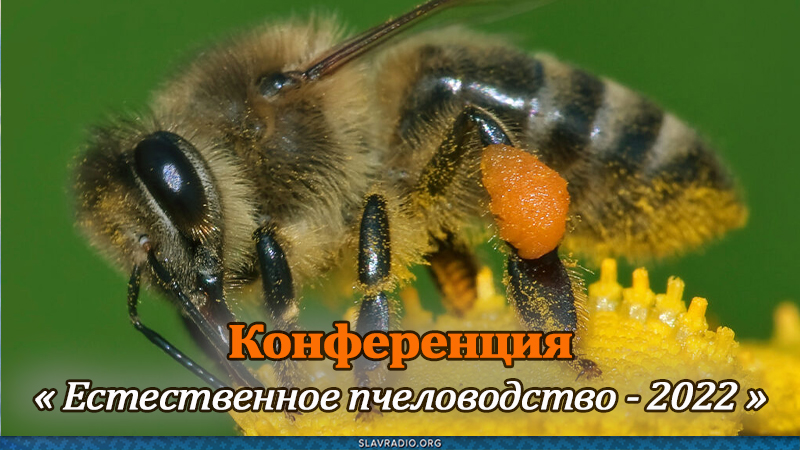 Конференция «Естественное пчеловодство-2022»