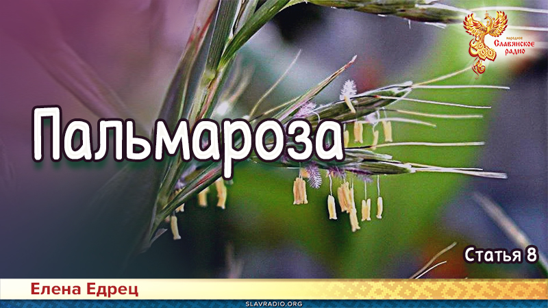 Пальмароза | Народное славянское радио