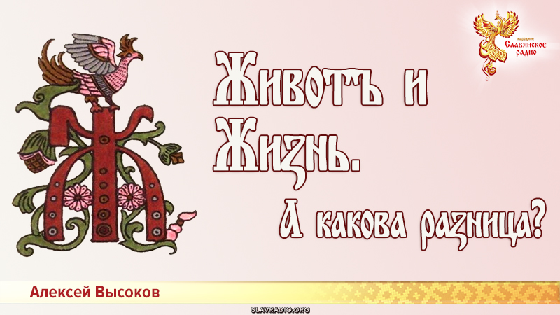Животъ и Жиӡнь. А какова раӡница?