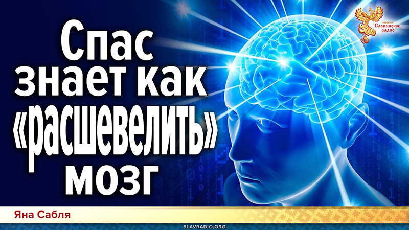 Спас знает как «расшевелить» мозг