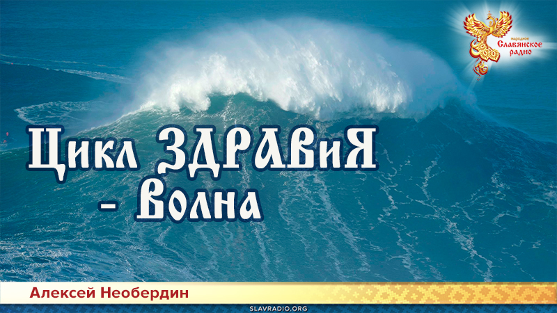 Цикл ЗДРАВиЯ — Волна