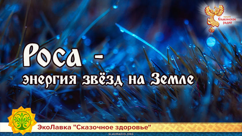 Роса – энергия звёзд на Земле