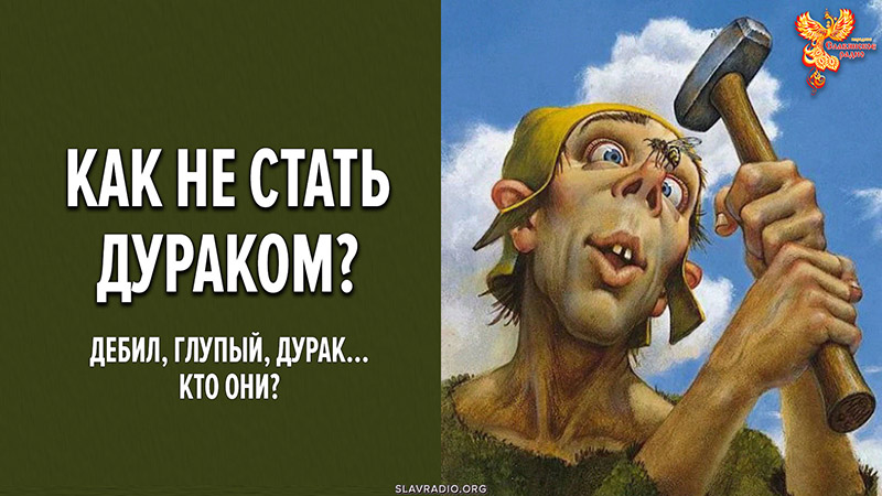 Полная версия вебинара «Как не стать дураком? Дебил, глупый, дурак — кто они?»