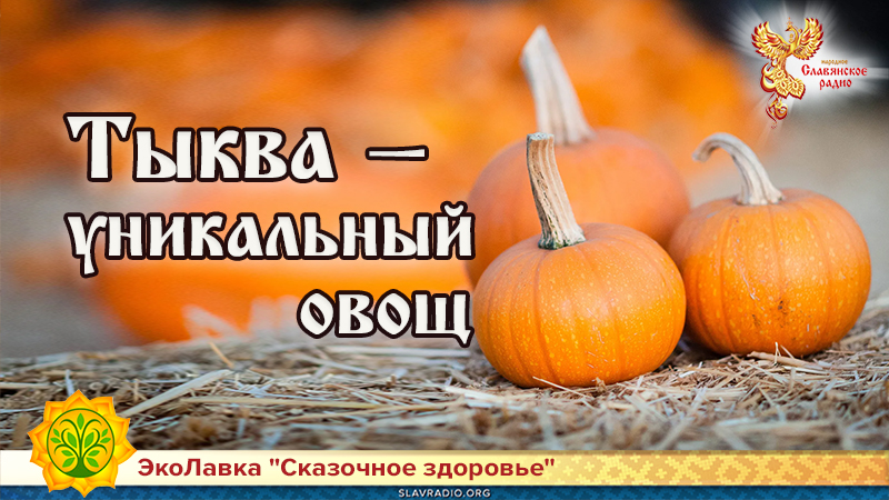 Тыква — уникальный овощ