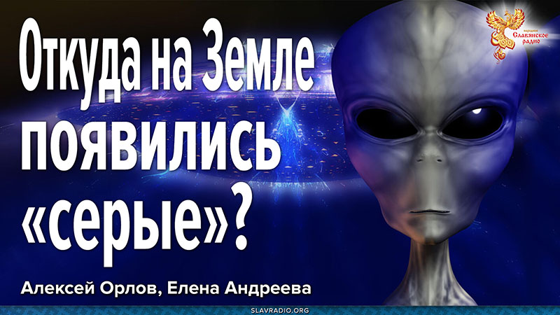 Откуда на Земле появились «серые»?