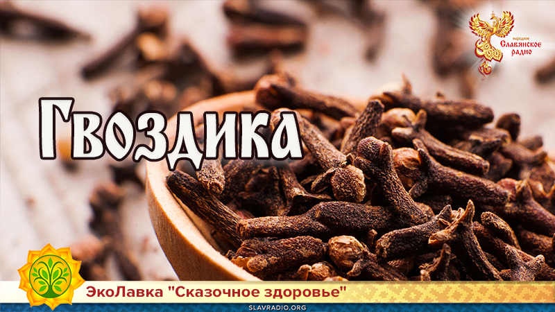 Гвоздика 