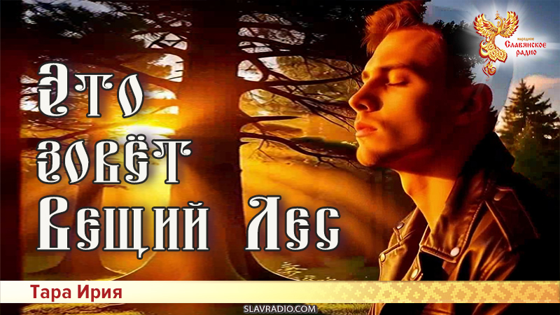 Это зовёт Вещий Лес!