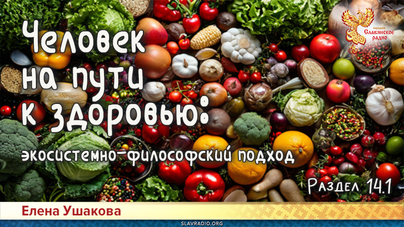 Человек на пути к здоровью: экосистемно-философский подход. Раздел 14. Часть 1
