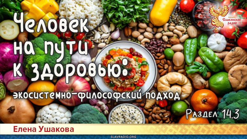 Человек на пути к здоровью: экосистемно-философский подход. Раздел 14. Часть 3