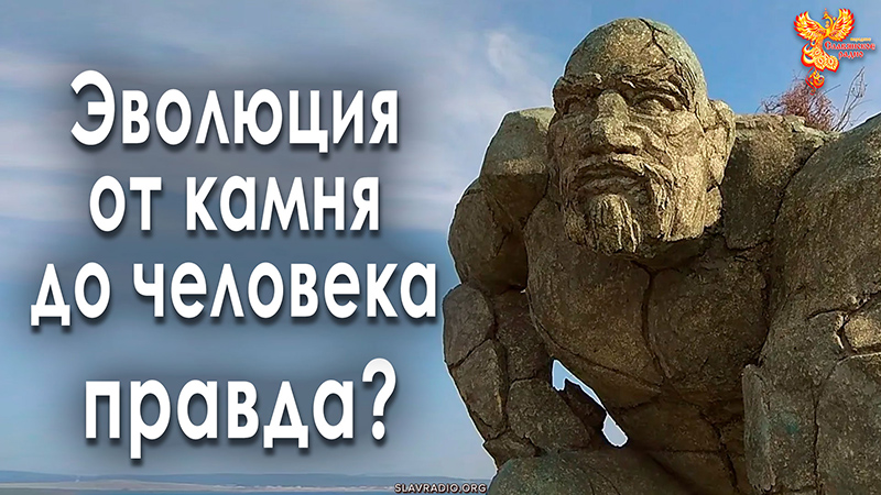 Эволюция от камня до человека — правда?