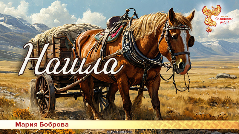 Нашла 