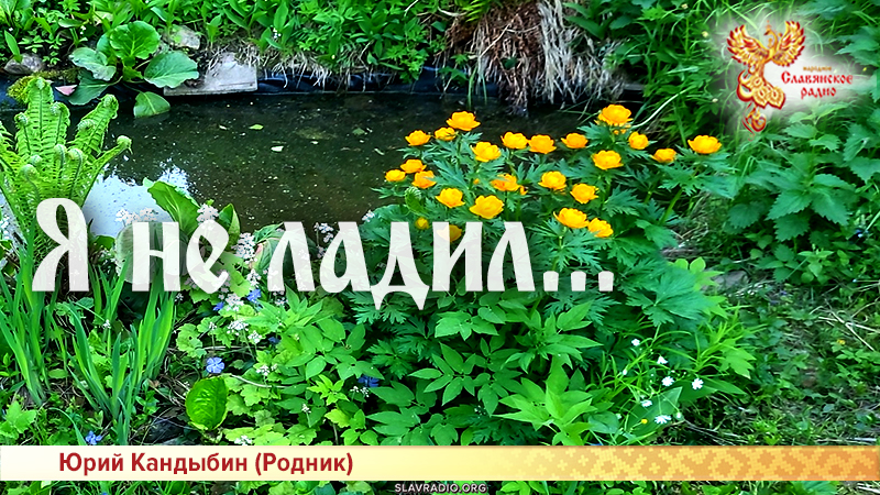 Я не ладил... 