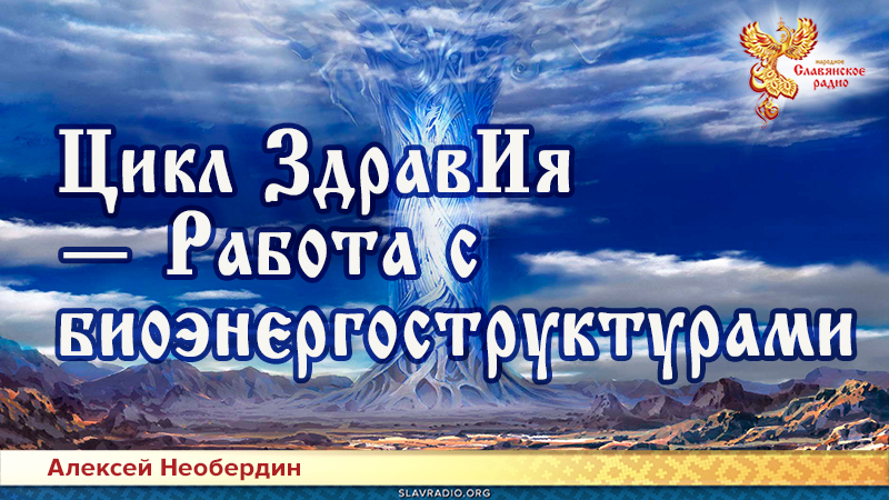 Цикл ЗдравИя — Работа с биоэнергоструктурами