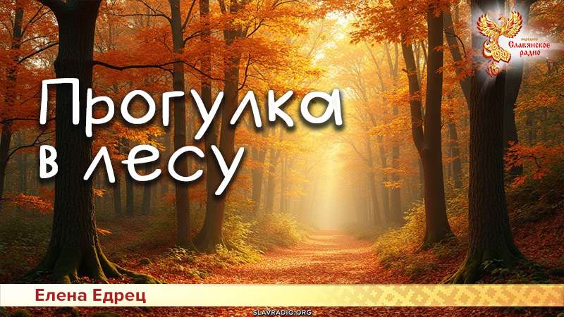 Прогулка в лесу