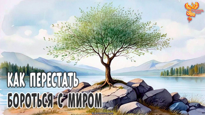 Как перестать бороться с миром за место под солнцем?